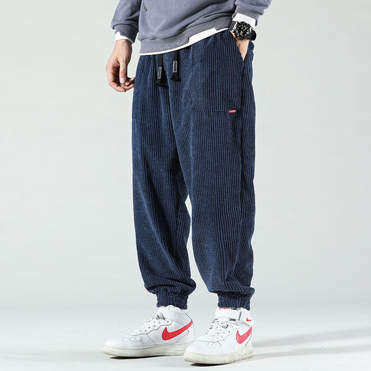 Zaunkönig | Kord Hose